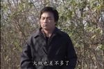 保姆的情人梦