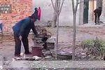 婆婆和儿媳 （下集）