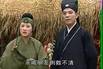 珍珠塔 电视版