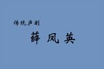 薛凤英