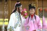 庐剧 苦菜花 第二集
