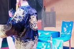 王三姐 5