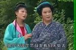 鸳鸯泪 电视版