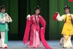 秦雪梅·游园观画 名家传戏