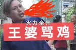 王婆骂鸡