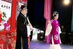 珍珠塔 2下载