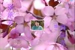 童养媳 电视版