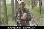 三个傻子赶大会 全集