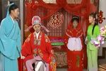 庐剧紫金钗 二