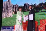 丁郎寻父 2018