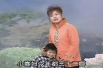 小寡妇上坟