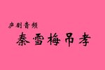 秦雪梅吊孝 中路