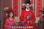 庐剧郑小娇 4