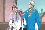 休丁香