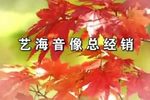 儿不嫌母丑