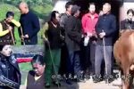瞎妮放牛 全十