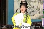 孟丽君外传