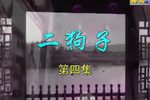庐剧二狗子闹新年 4  现代戏下载