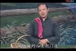 逼妻孝娘 家家有本难念的经