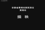 插秧