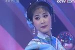 天仙配·槐荫别 上集