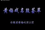 黄梅戏名段荟萃