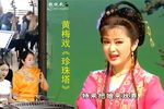 珍珠塔 10下载