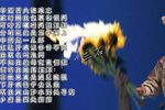 渔网会母
