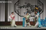 戏牡丹