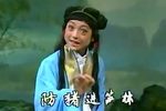 打猪草 高清