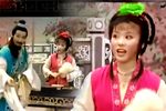 戏牡丹 上