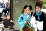 苦菜花 9