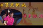 夫妻观灯下载
