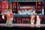 打金枝 打枝下载