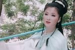 红楼梦 选段·黛玉葬花