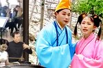 苦菜花 13