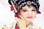 孟丽君-金殿诉冤 五个版本