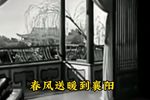 女驸马 1959年