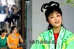 孬子赶集 3