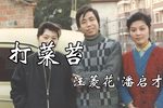 打菜苔