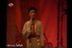 夫妻观灯 （1990年实况）