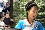 墙外小桃花
