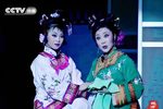 槐树谣