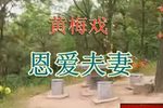 恩爱夫妻 全剧