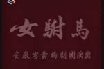 女驸马 修复版下载