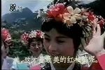 杜鹃女