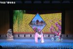 罗帕记下载