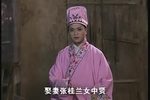 孝顺媳妇