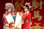 女驸马 新视觉版