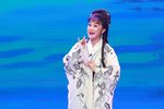 孔雀东南飞